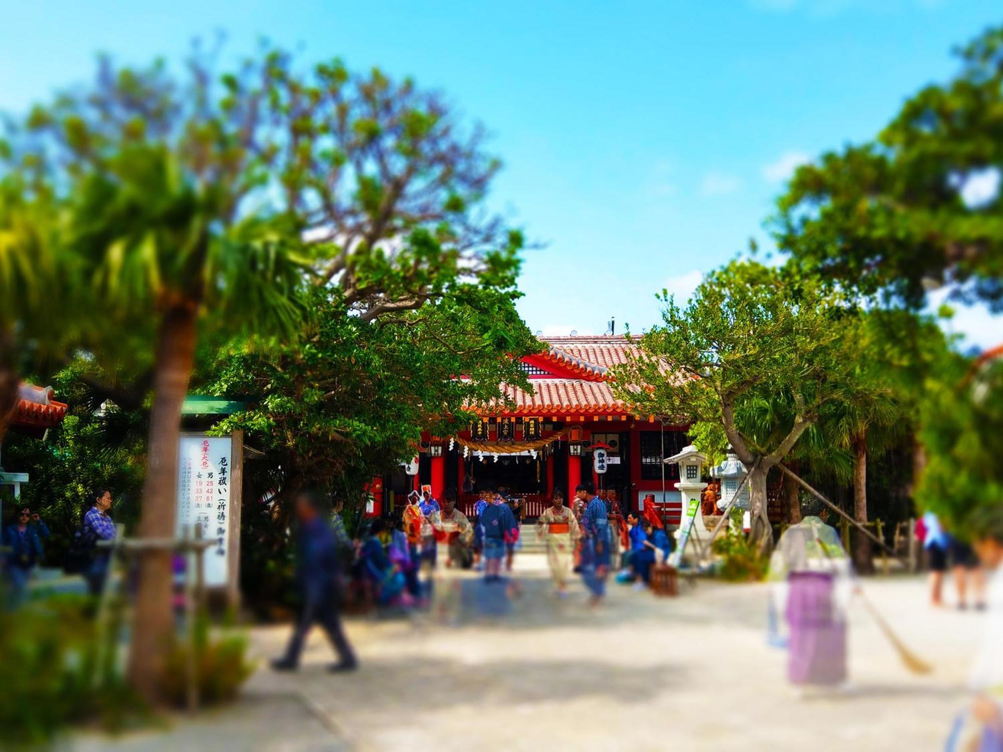 酒店 冲绳那霸旭桥托丽芙特酒店 3*