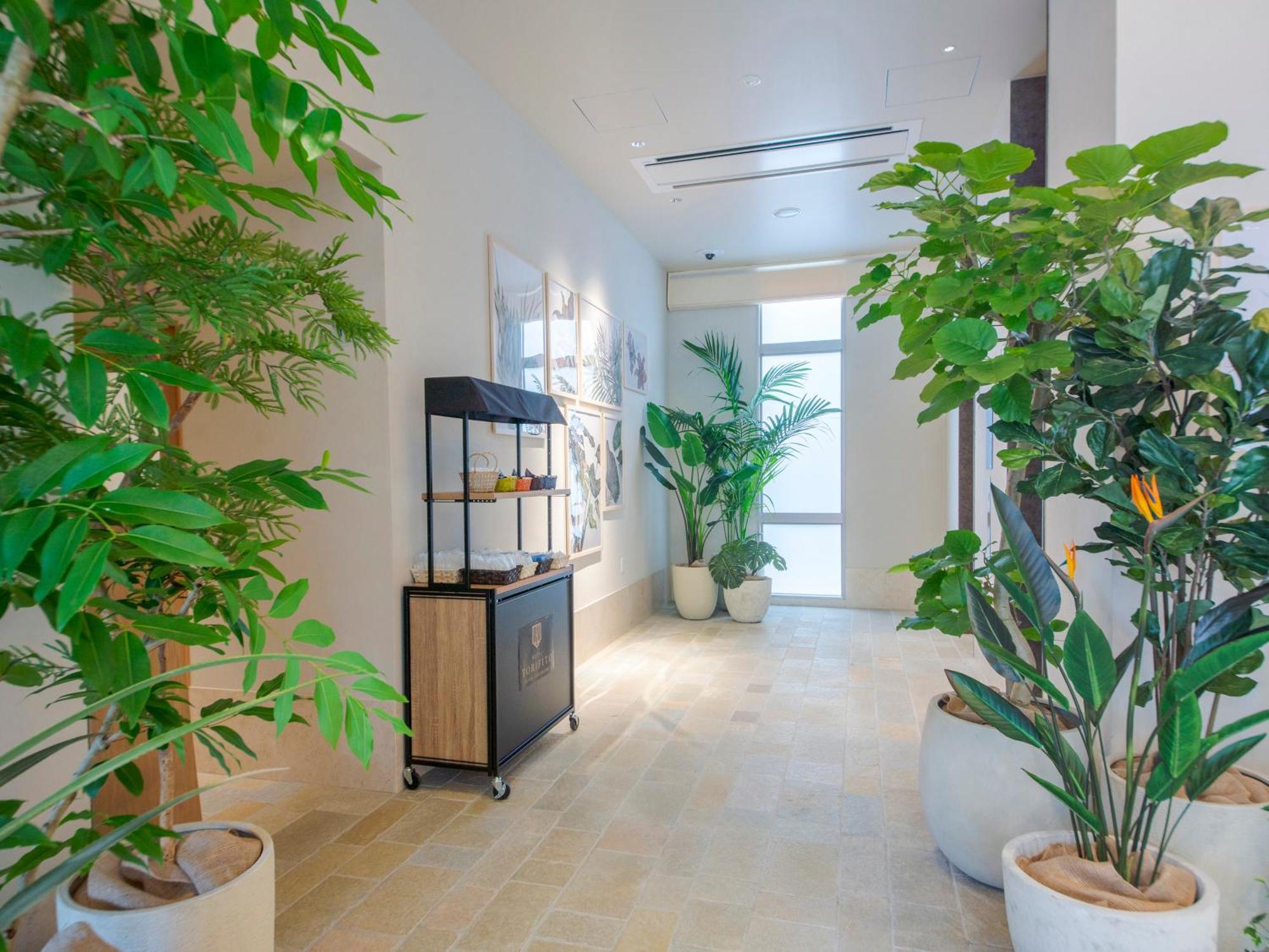 冲绳那霸旭桥托丽芙特酒店 酒店 3*